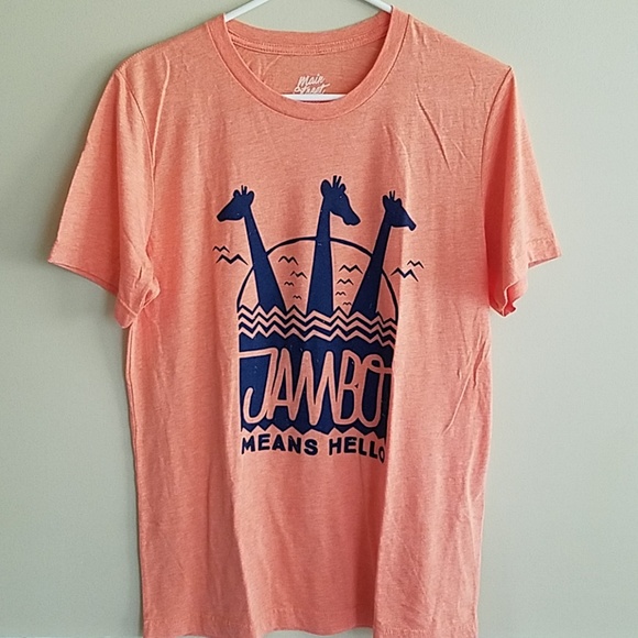 Disney Tops - Disney Animal Kingdom inspired tee